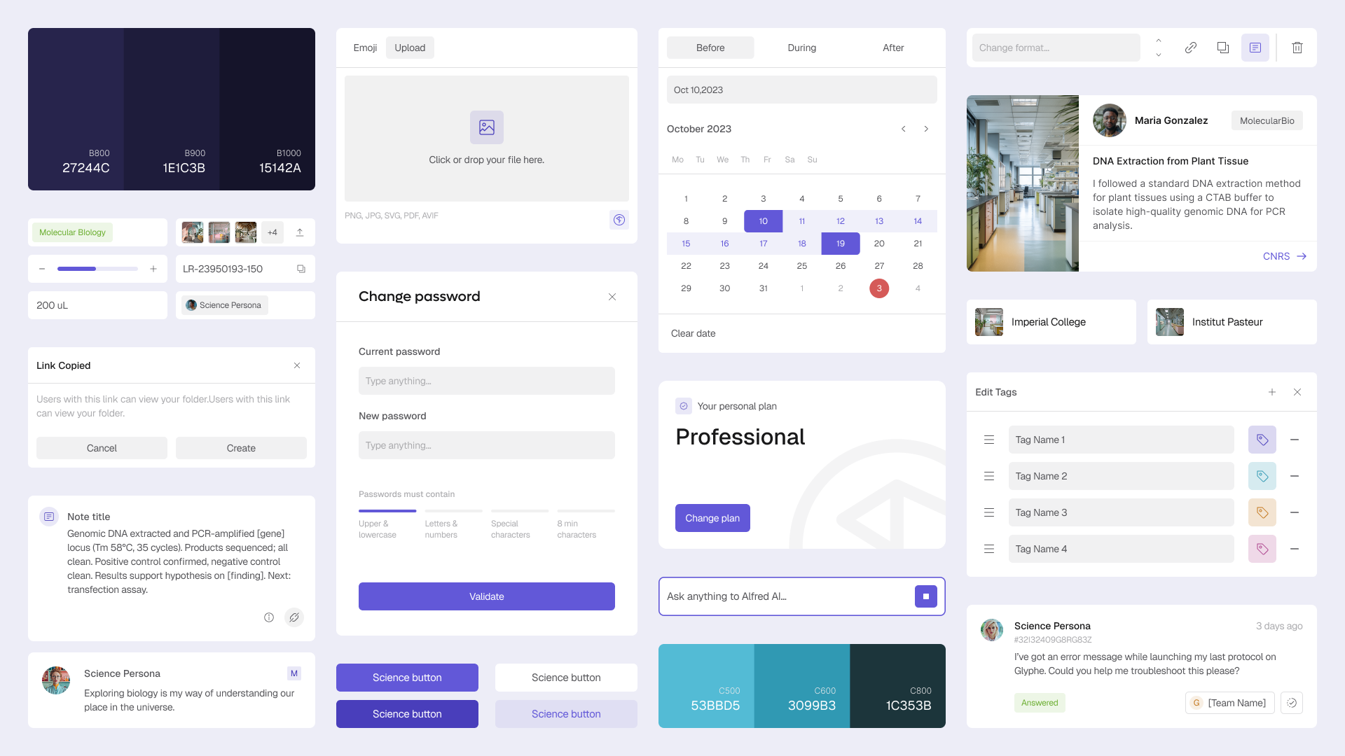 Glyphe — visuel 3